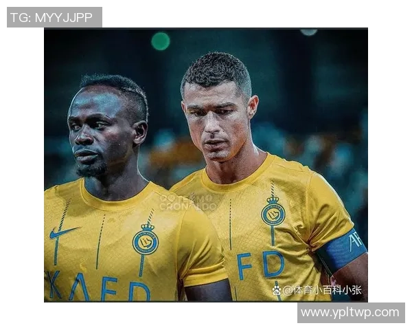 马内的足球传奇之路:从塞内加尔小镇到欧洲顶级联赛的辉煌历程